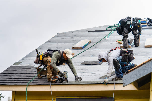 Professional Gutter Installation technician working in Hills, MN